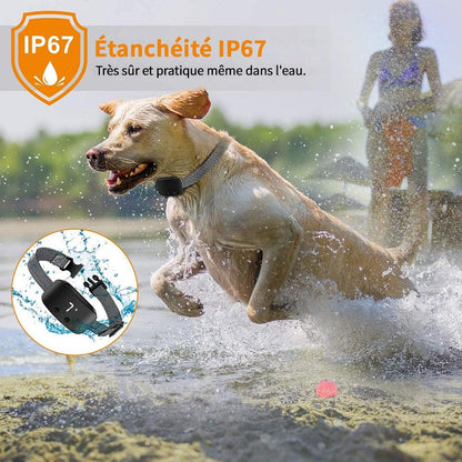 Collier Anti-Aboiement pour Chien, Rechargeable, Étanche, Électrique, IP67-9-Petmonde