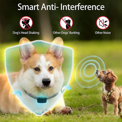 Collier Anti-aboiement Intelligent pour chien Stop-aboiement ultrasonique-3-Petmonde