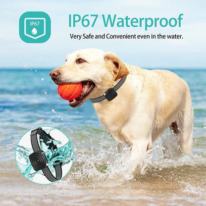 Collier Anti-aboiement Intelligent pour chien Stop-aboiement ultrasonique-6-Petmonde