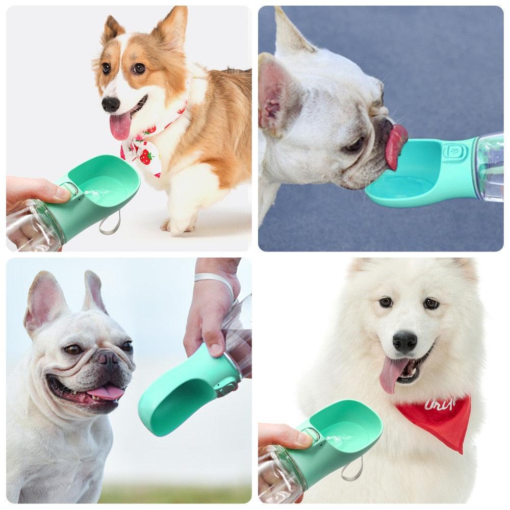 Distributeur Portable d'Eau et de Nourriture pour Chien & Chat – Récipient de Voyage Pratique-24-Petmonde