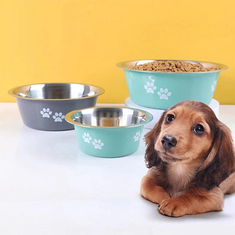 Gamelle en Acier Inoxydable pour Chiens et Chats - Bol et Abreuvoir-4-Petmonde
