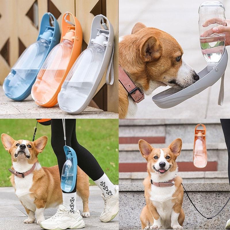 Gourde Portable avec Distributeur d'Eau pour Animaux Domestiques, Idéale pour les Promenades, Convient pour Chien et Chat-1-Petmonde