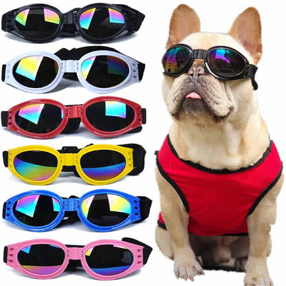 Lunettes de Soleil Anti-UV pour Chats et Chiens - Protection et Style Estival-1-Petmonde