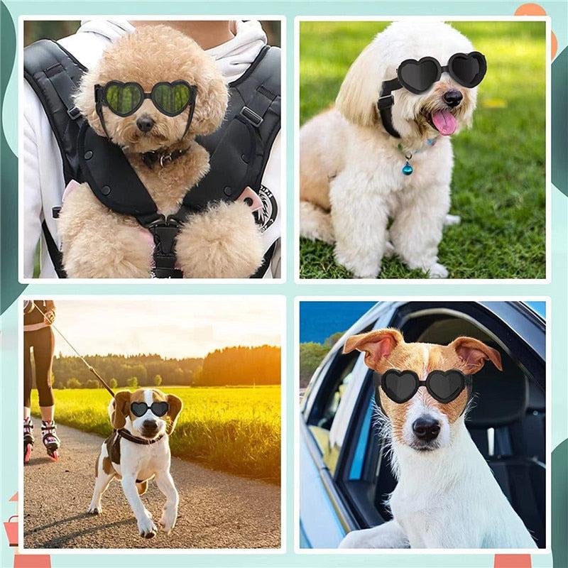 Lunettes de Soleil en Forme de Cœur pour Chiens et Chats - Protection UV, Sangle Réglable-9-Petmonde