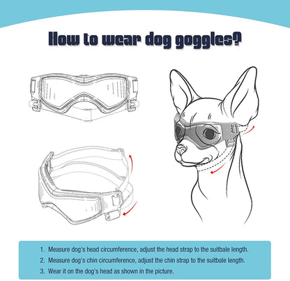 Lunettes de soleil réglables pour chiens de petite et moyenne race, protection UV, faciles à porter, accessoire pour chien-4-Petmonde