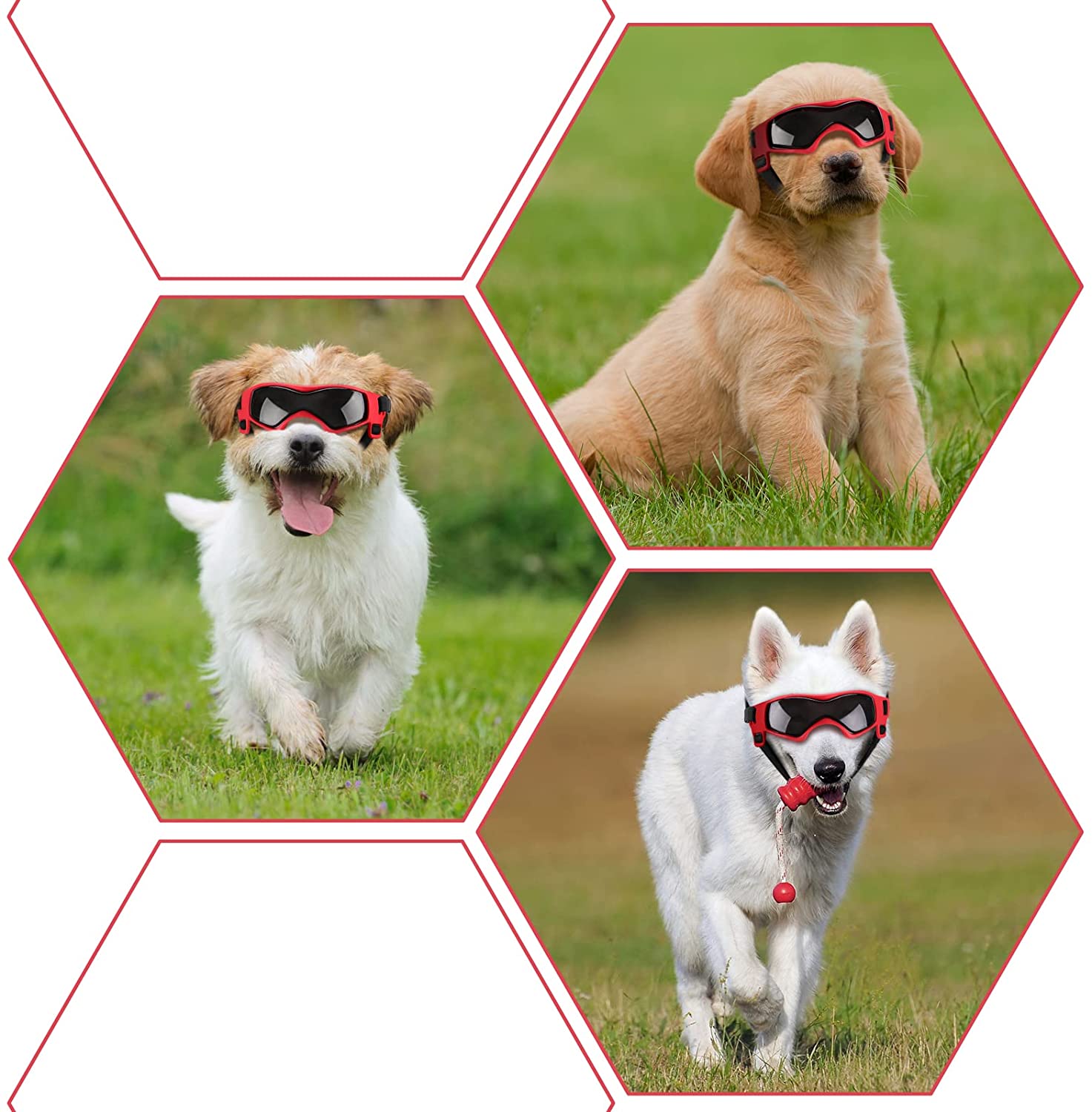 Lunettes de soleil réglables pour chiens de petite et moyenne race, protection UV, faciles à porter, accessoire pour chien-7-Petmonde