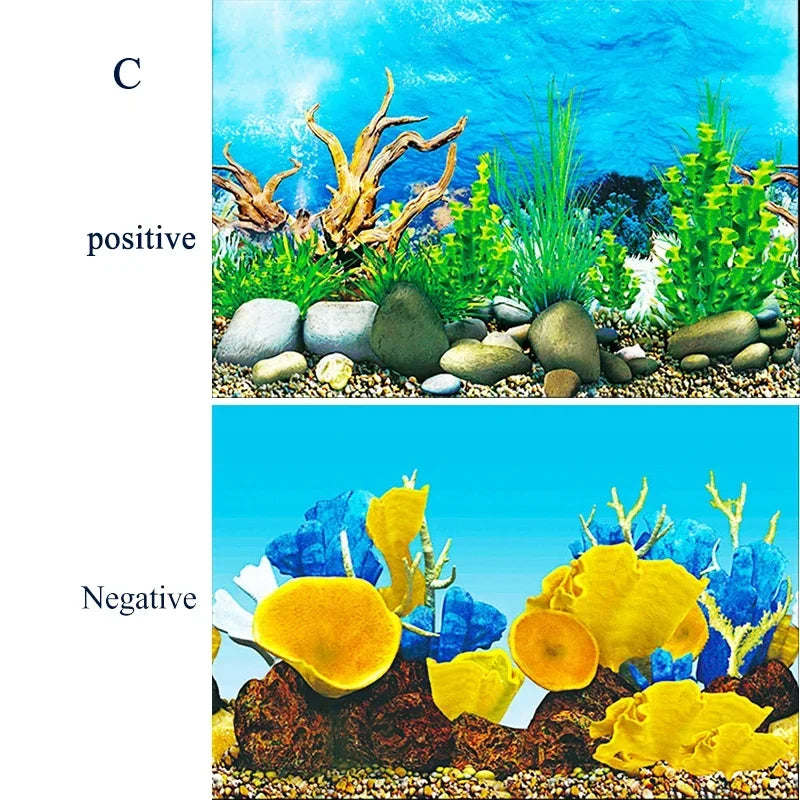 Fond d'Aquarium Autocollant 3D Monde Sous-Marin-9-Petmonde