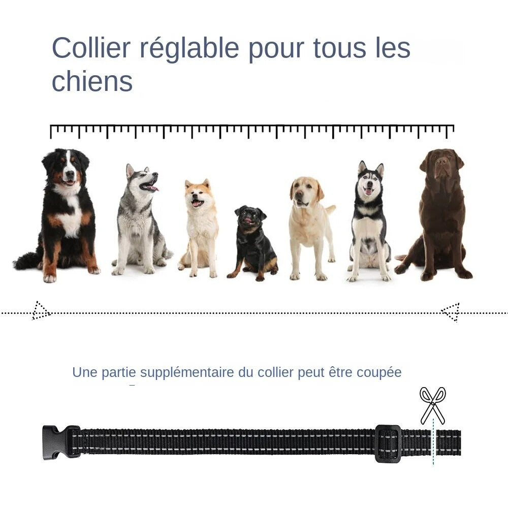 Collier de dressage électrique pour chien, portée de 800 mètres, étanche ip7, avec télécommande - mode sonore et stimulation électrique-3-Petmonde