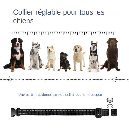 Collier de dressage électrique pour chien, portée de 800 mètres, étanche ip7, avec télécommande - mode sonore et stimulation électrique-3-Petmonde