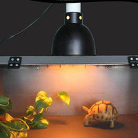 Petmonde-Abat-jour en céramique porte-ampoule lampe UVA UVB chauffante pour tortue et reptile-éclairage--Petmonde