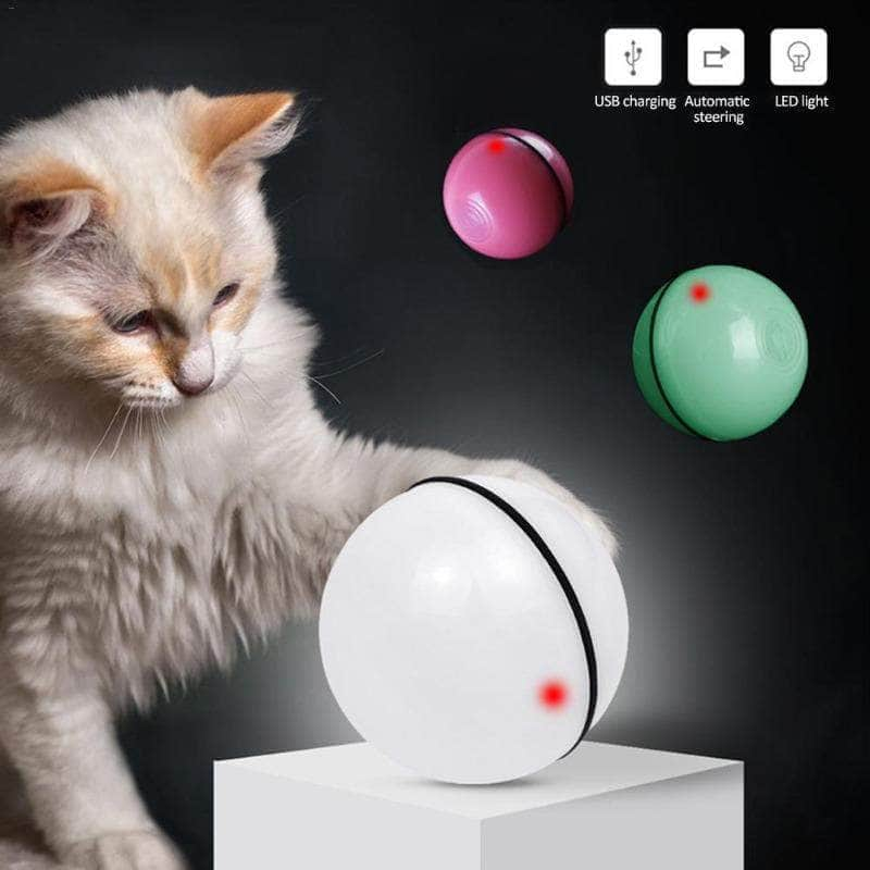 Ballon sauteur jouet interactif pour chat chaton mouvement aléatoire-3-Petmonde