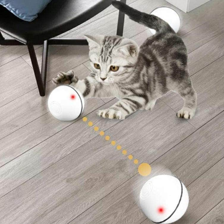 Ballon sauteur jouet interactif pour chat chaton mouvement aléatoire-4-Petmonde