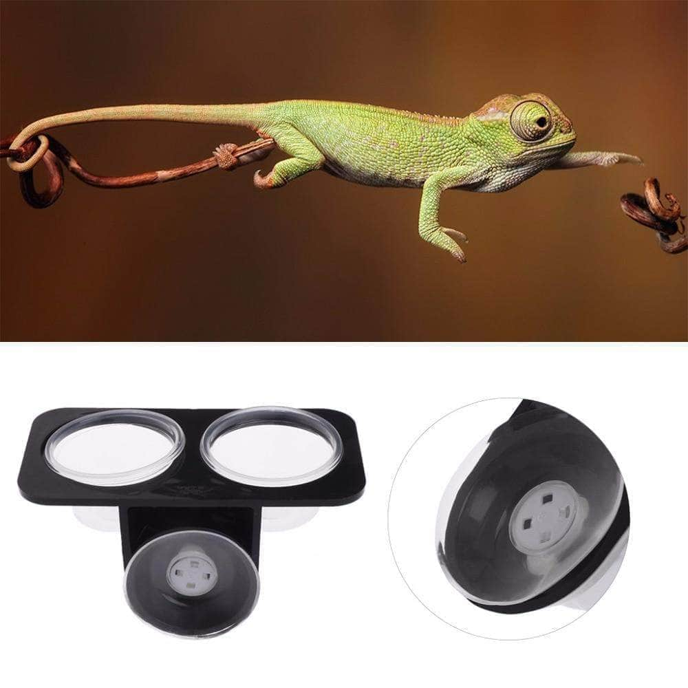 Bol d’Alimentation Suspendu pour Reptiles – Simple ou Double avec Ventouse-8-Petmonde