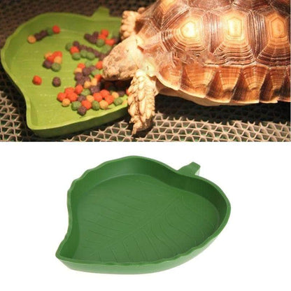 Bol pour Tortue & Reptile – Gamelle d’Eau ou de Nourriture pour Terrarium-3-Petmonde