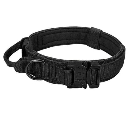 Collier tactique militaire pour chien-5-Petmonde