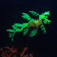 Petmonde-Dragon fluorescent en silicone lumineux suspendu flottant décoration d'aquarium-Decoration--Petmonde