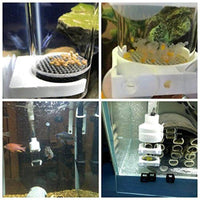 Petmonde-Écloserie pour oeufs de poissons kit d'élevage accessoire de pisciculture incubateur pour aquarium-Accessoires-Blanc-Petmonde