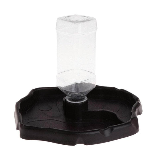 Petmonde-Gamelle distributeur d'eau 2 en 1 pour reptile tortue mangeoire avec fontaine-Accessoires--Petmonde