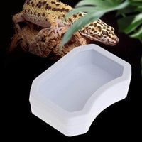 Petmonde-Gamelle pour reptile abreuvoir bol de nourriture terrarium-nourriture--Petmonde