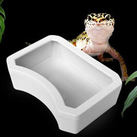 Petmonde-Gamelle pour reptile abreuvoir bol de nourriture terrarium-nourriture--Petmonde