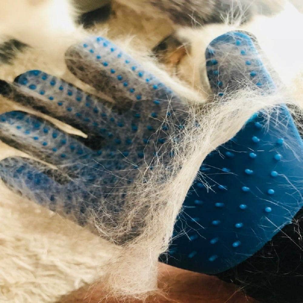 Gant de toilettage pour chat et chien-3-Petmonde