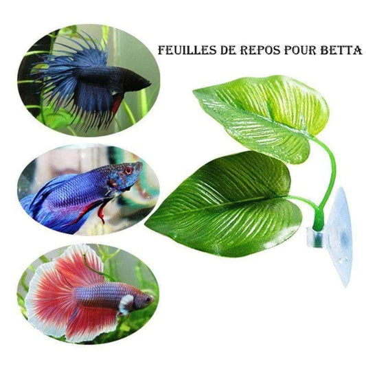 Hamac pour Betta feuille de repos ornementale pour poisson combattant-1-Petmonde