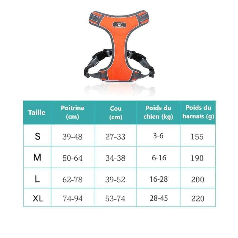 Harnais réfléchissant pour chien gilet respirant réglable-7-Petmonde