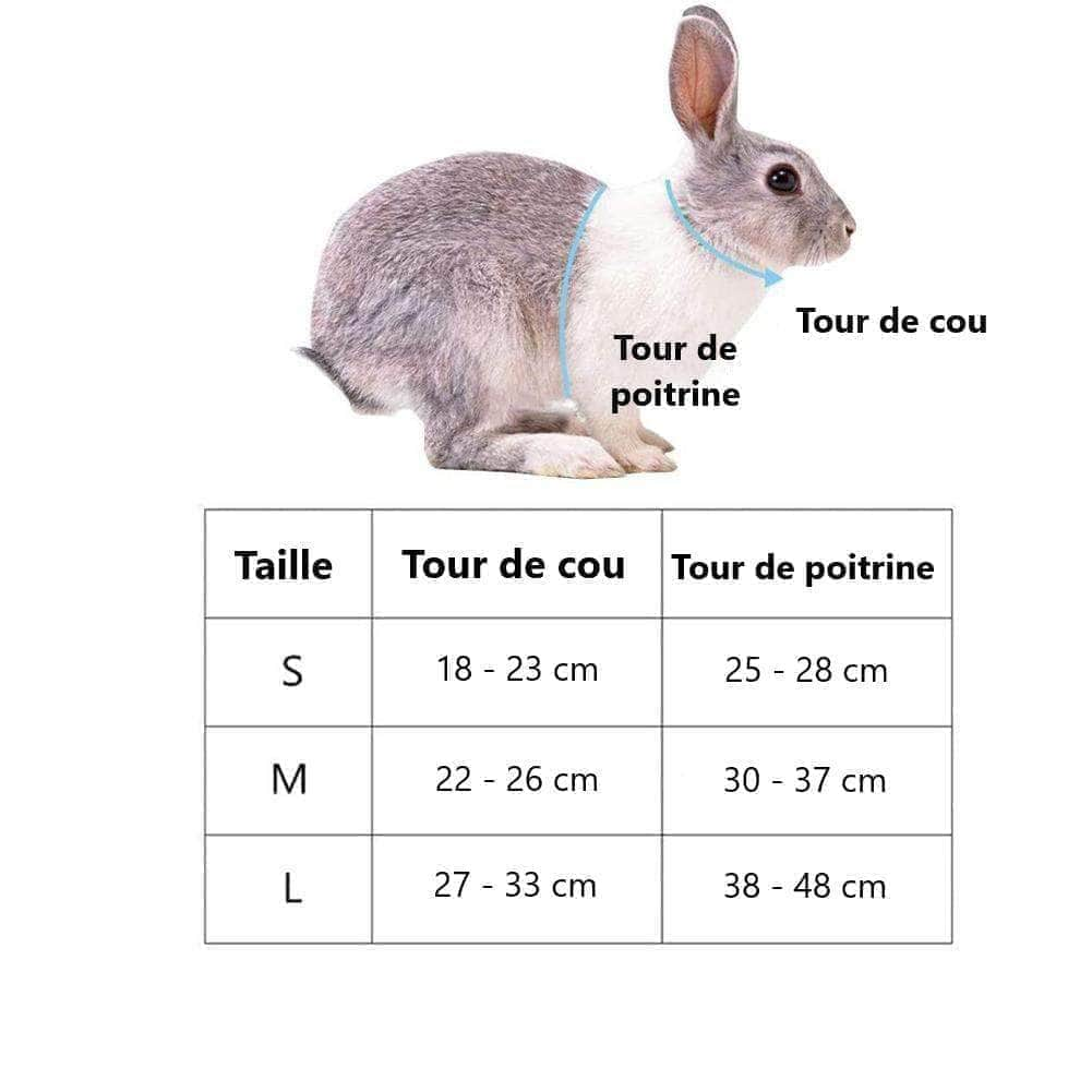 Harnais respirant pour lapin ou petit chien gilet réglable avec laisse pour promenade-7-Petmonde