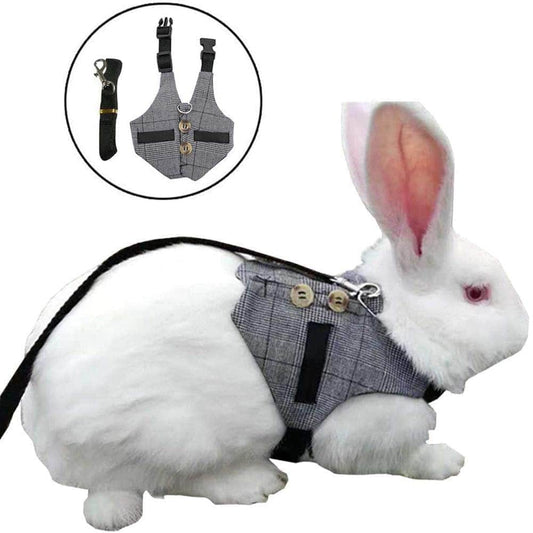 Harnais respirant pour lapin ou petit chien gilet réglable avec laisse pour promenade-1-Petmonde