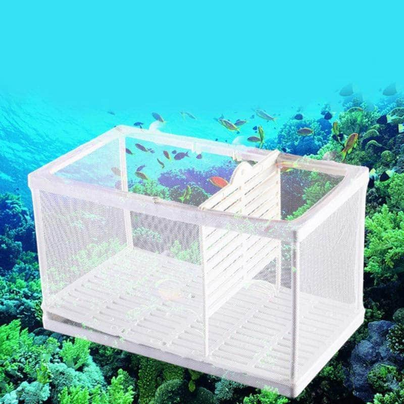 Incubateur pour poissons exotiques pondoir à triple compartiments-1-Petmonde