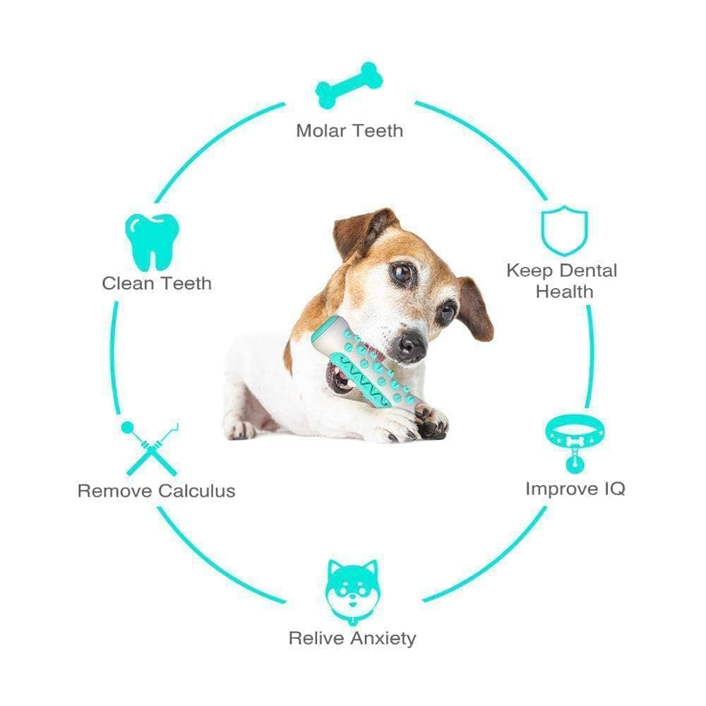 Jouet indestructible à mâcher en TPR nettoyage de dents pour chien-2-Petmonde