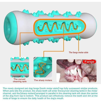 Jouet indestructible à mâcher en TPR nettoyage de dents pour chien-3-Petmonde