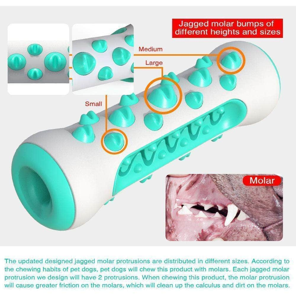 Jouet indestructible à mâcher en TPR nettoyage de dents pour chien-4-Petmonde