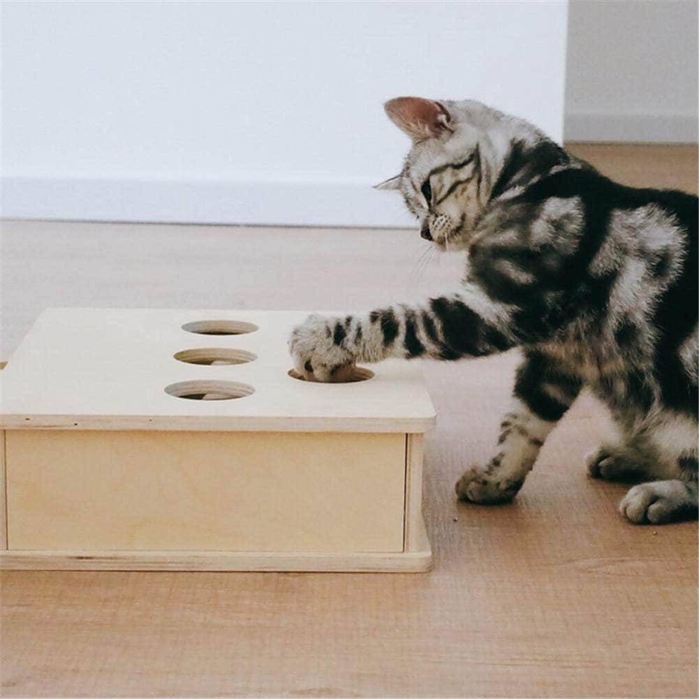 Jouet interctif pour chat jeu de la taupe pour chaton-4-Petmonde