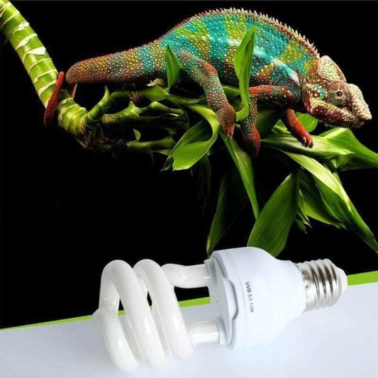 Ampoule UVB 5.0 & 10.0 – Spot Halogène pour Reptiles & Tortues-1-Petmonde